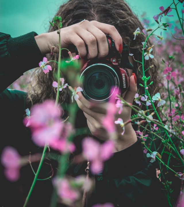 selective focus of woman behind pink flowers holding red Samsung bridge camera about to take photo of flower
